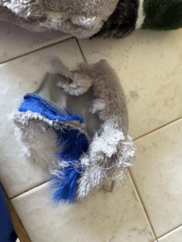 Detail look of wing, thin material