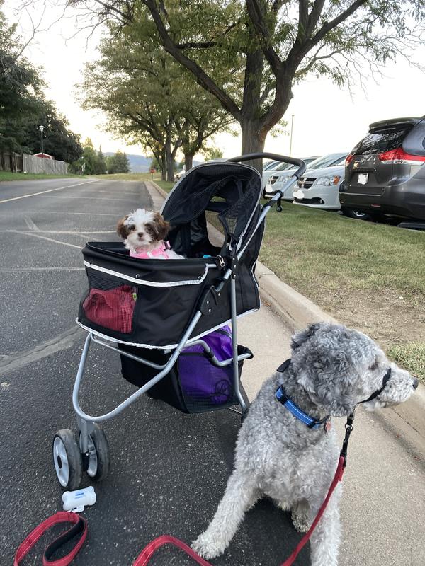 uppababy vista stroller 2015 UPPAbaby 2015 VISTA