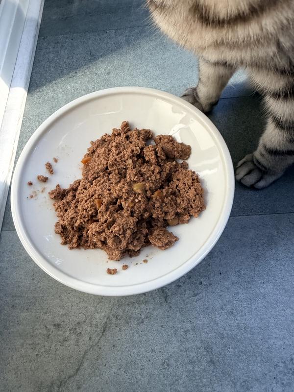Food after spooning it onto bowl