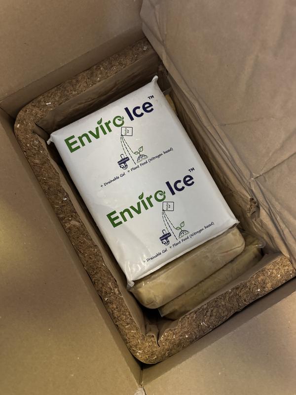 Ice was perfectly frozen as was the food.