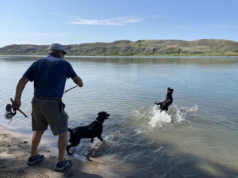 Water retrieves are the best