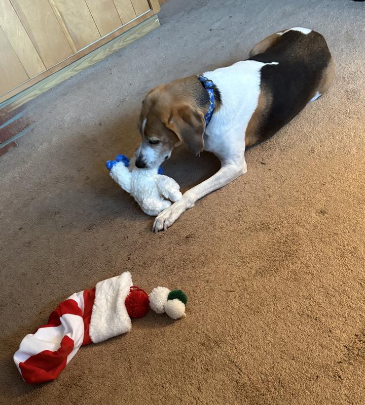 Merry Christmas Jethro