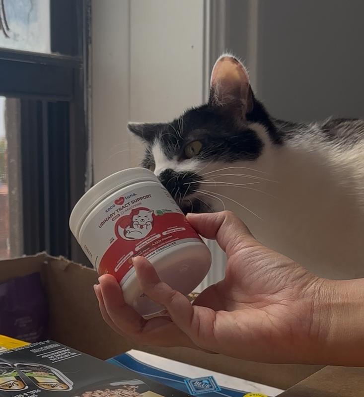 Quality Control: Eugene Approved