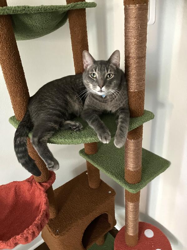 One of the large platforms.