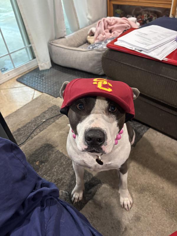 Ready for game day ❤️💛✌️