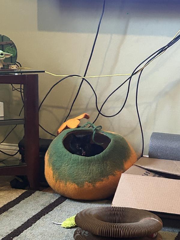 Best hideout for Miss Winnie