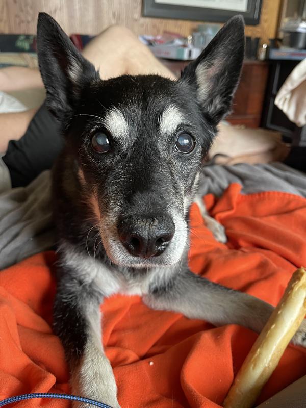 Still looking good for 13 yrs old !