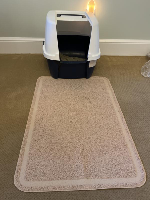 Litter Box No. 3