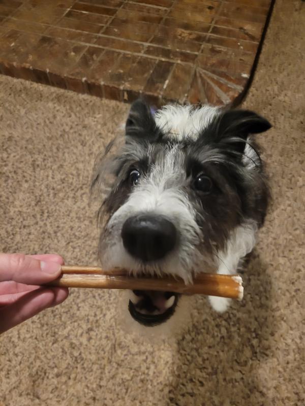 Excited to get her treat!