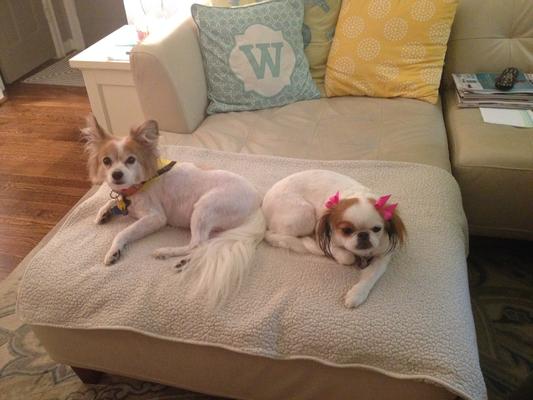 Koi and Jessie