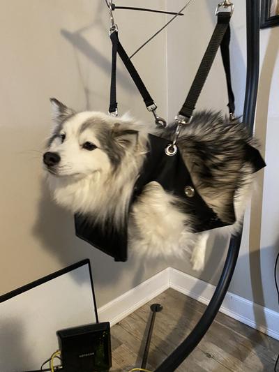 Dog grooming suspension on sale harness