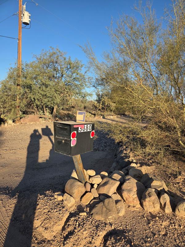 unbelievable stupidity