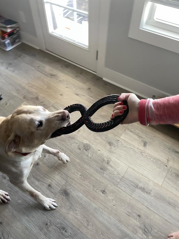 Early Christmas present