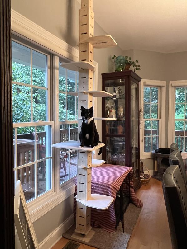 COZIWOW Floor to Ceiling Adjustable Height Cat Tree Tower, 98-114in ...