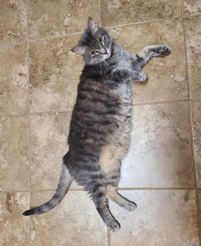 These probiotics really work!