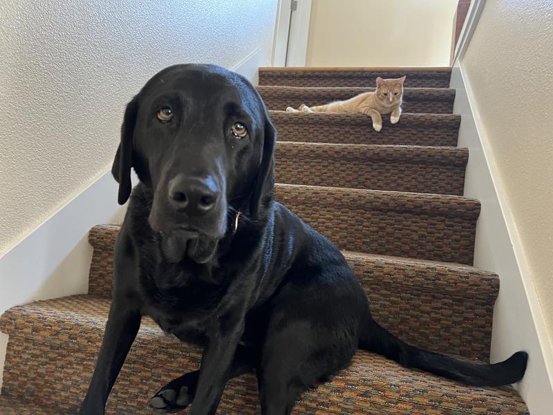 Benny and his brother from another mother :)