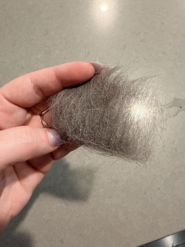 After 2 weeks of daily treats (brushed fur)