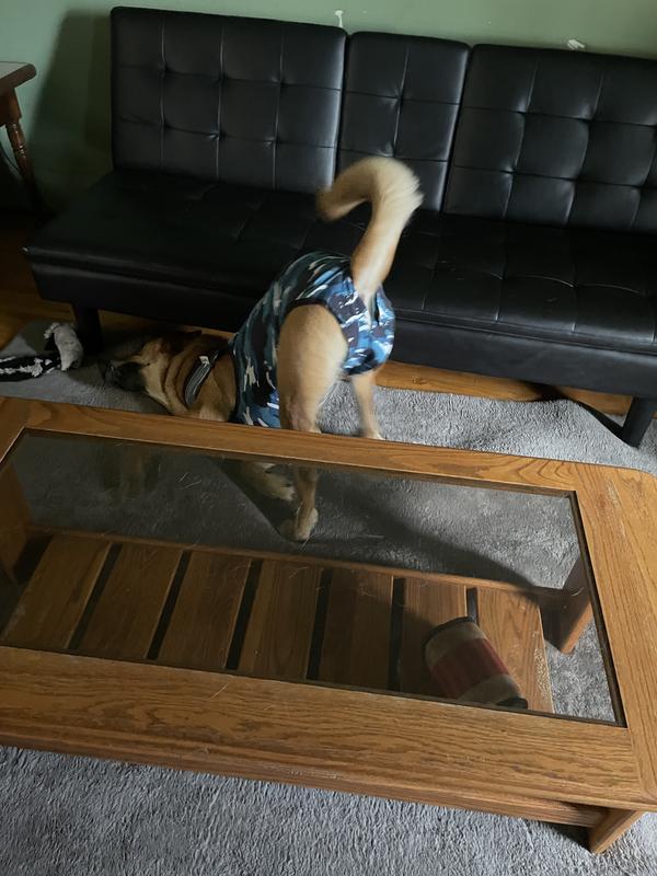 Thor tries but can’t riggle out!
