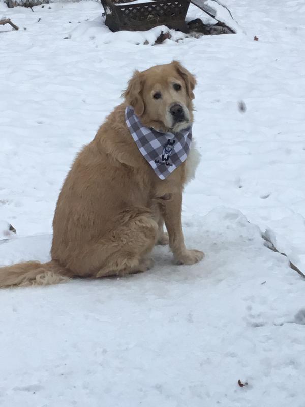 Amos enjoying a bit of fresh air😍