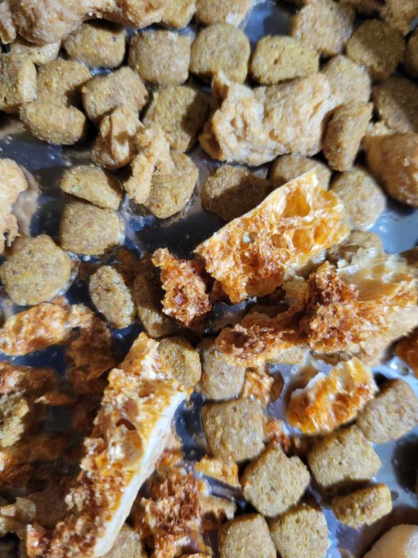 They are light and airy, but slightly tough for old teeth.