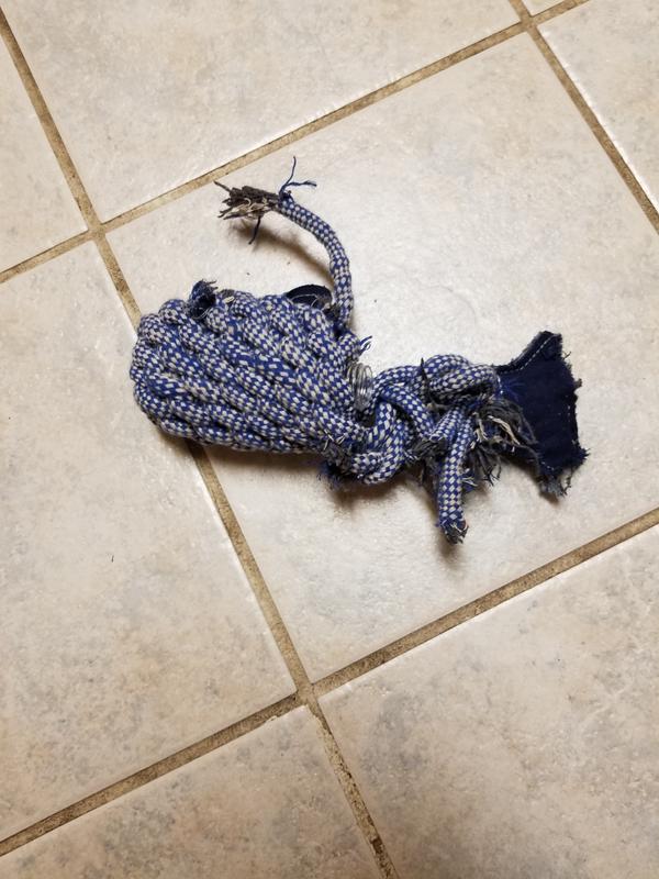 Bones & Chews Rope Whale Crinkle with Bone Dog Toy, 12