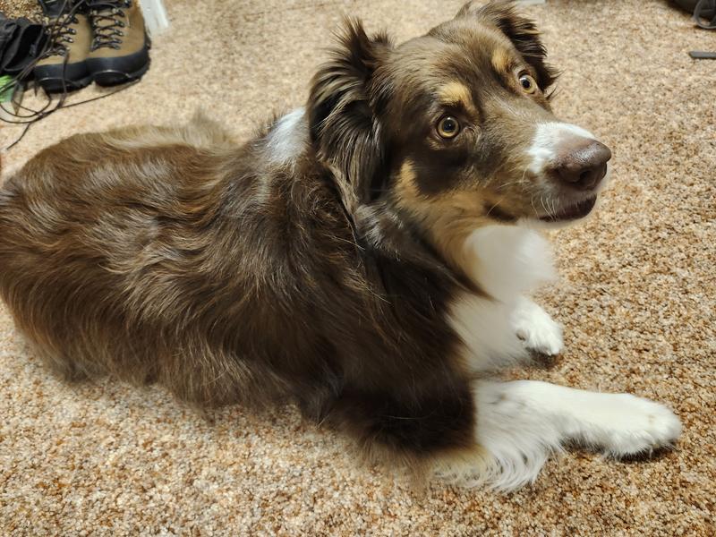 Softer to touch, and getting shiny again