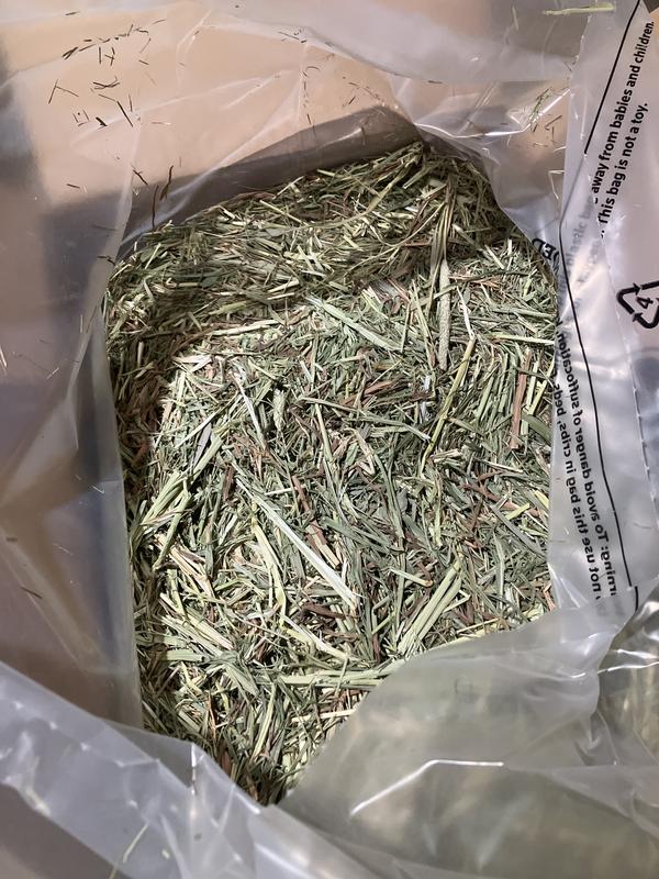 Hay is not fresh and brown