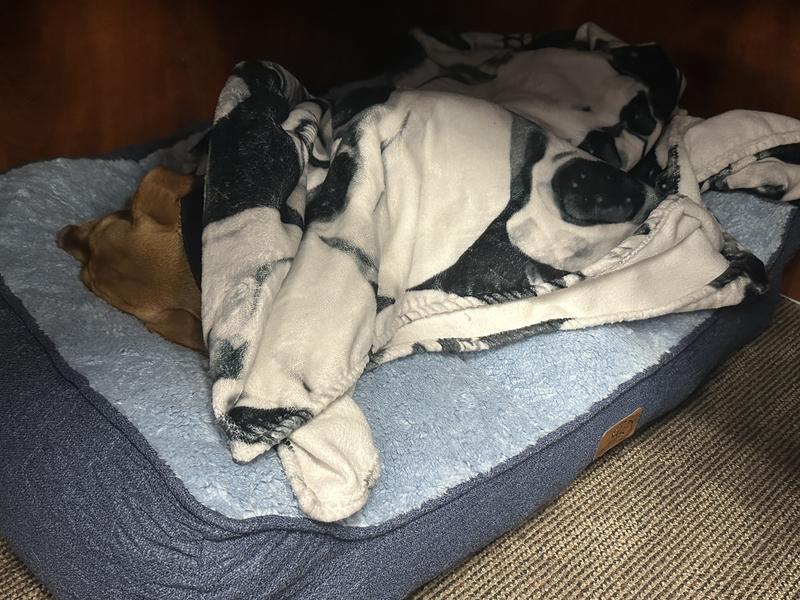 Fits perfectly under my desk at work. Size large