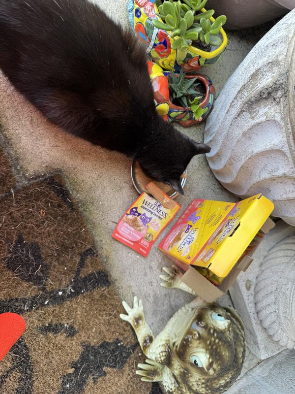 On the day of arrival