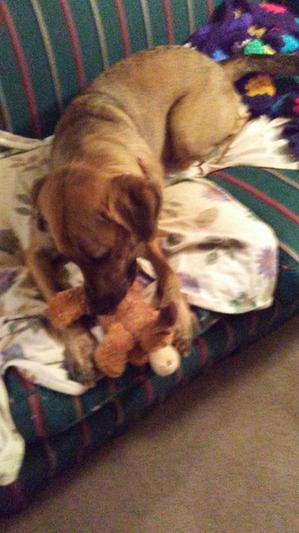 Just a girl and her Moose