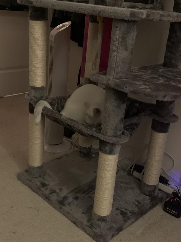 FRISCO 64in Cat Tree with Hammock, Condo, 2 Top Perches with Bed, Gray