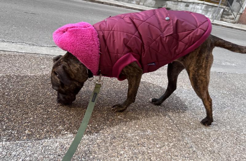 Frisco Heavy Weight Matte Quilted Volume Dog & Cat Puffer