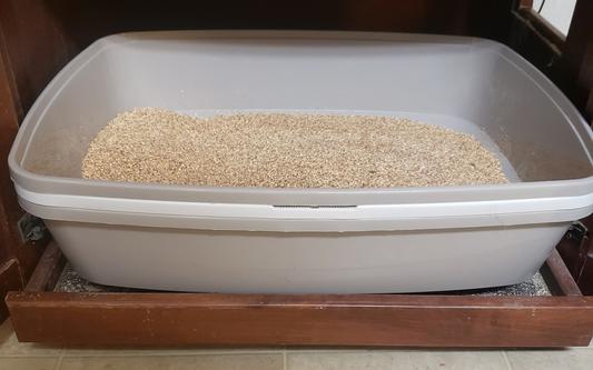 Feline pine outlet sifting litter box