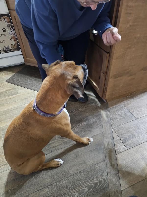 Hmmm, smell good. Can we have some? Ohhhh, yum!