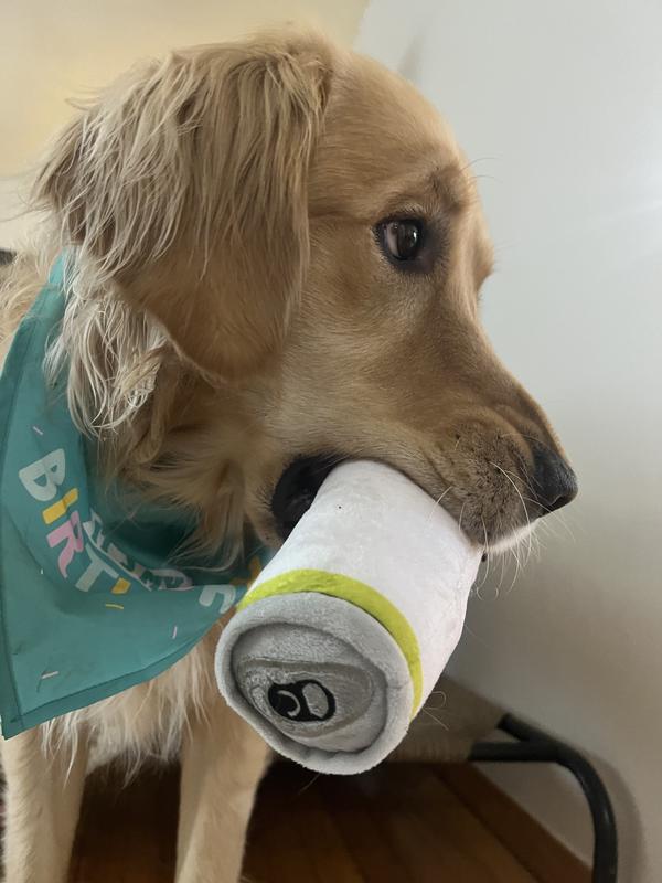 Winnie loves his new toy!