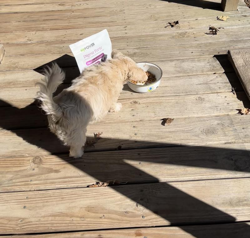 Gidget still enjoying