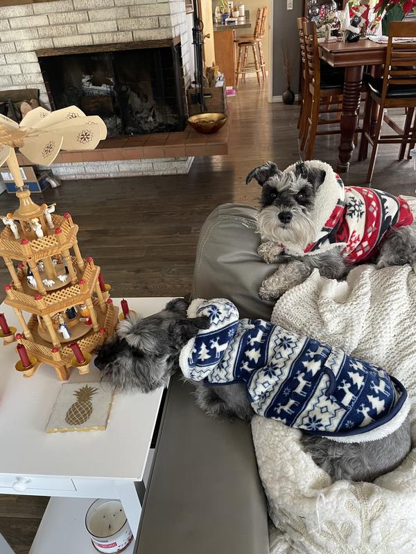 Baxter and Mazie