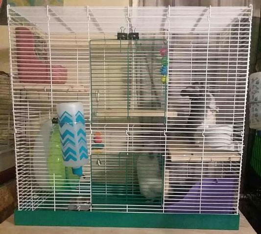 3 story cheap chinchilla cage