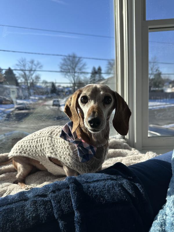 Stylish accessory on this16 year old sweet girl.