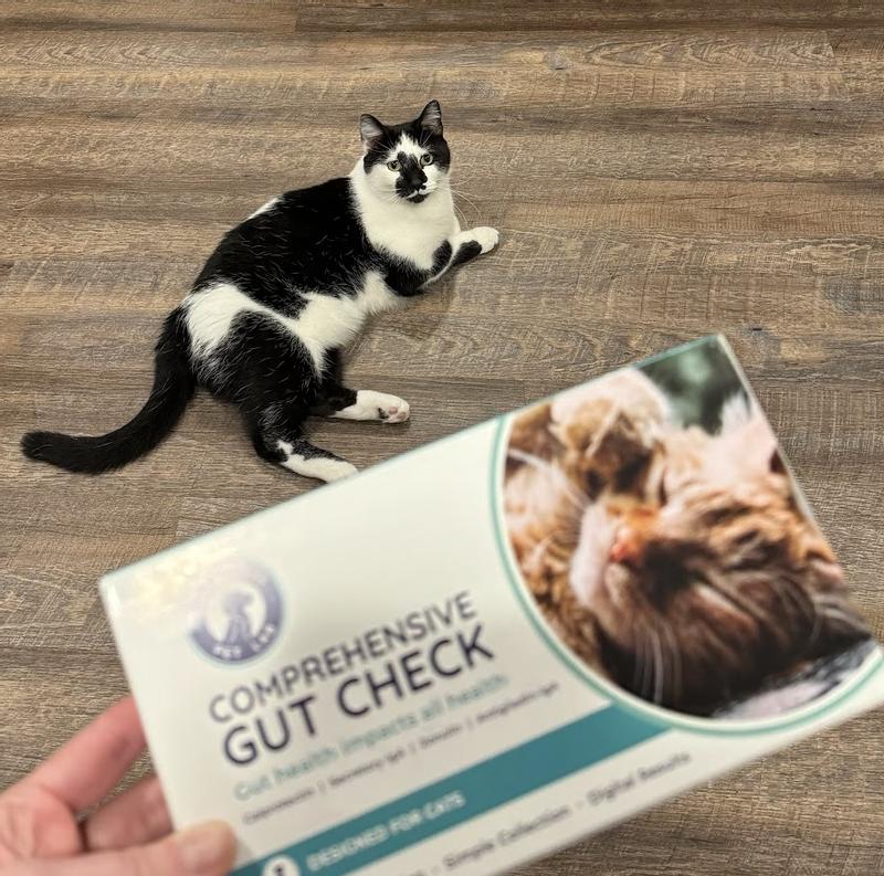 Moo-Sam (the patient)