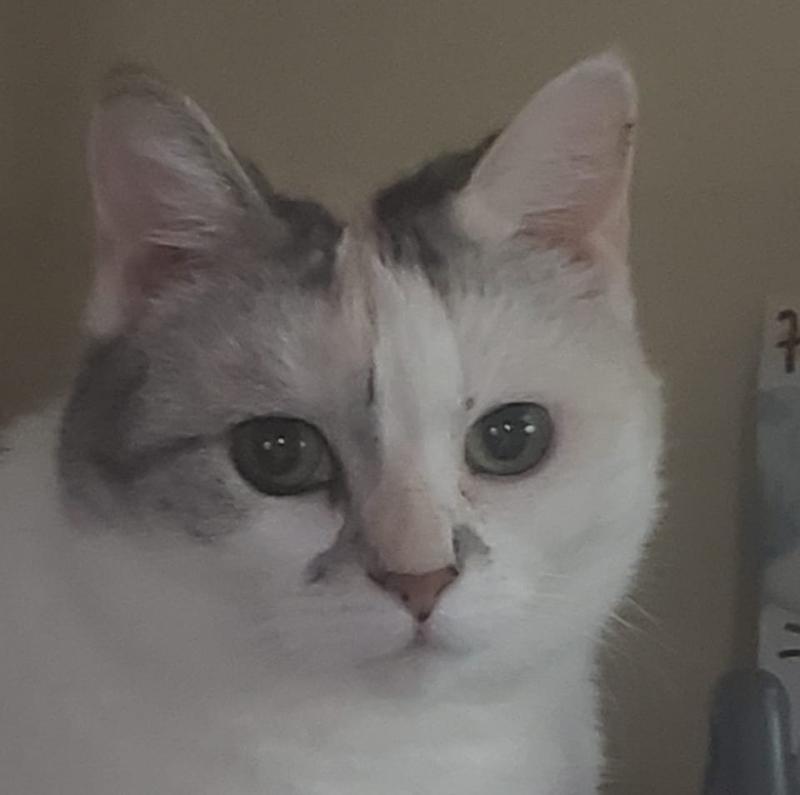 My old girl, Ayami