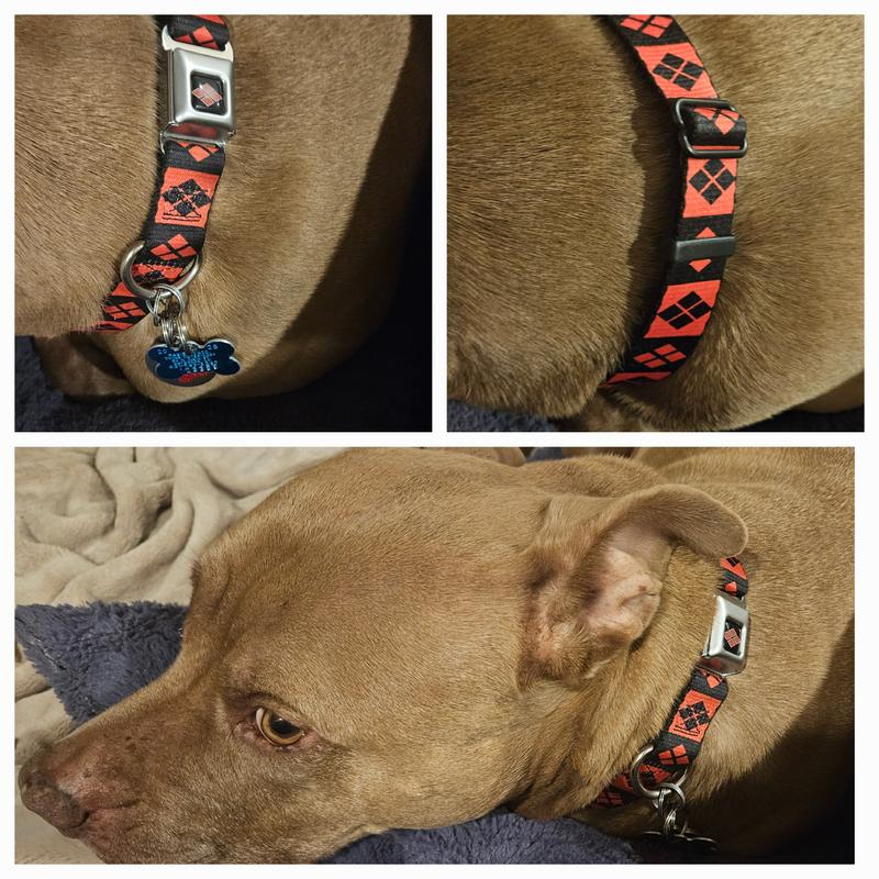 She wasn't happy about waking up for a photo op, but she did it.