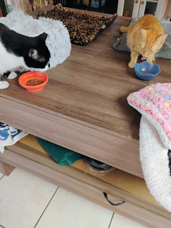 Before & After food photos