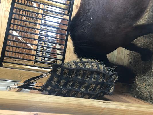 Added eye hooks and carabiner for an easy quick way to hang!