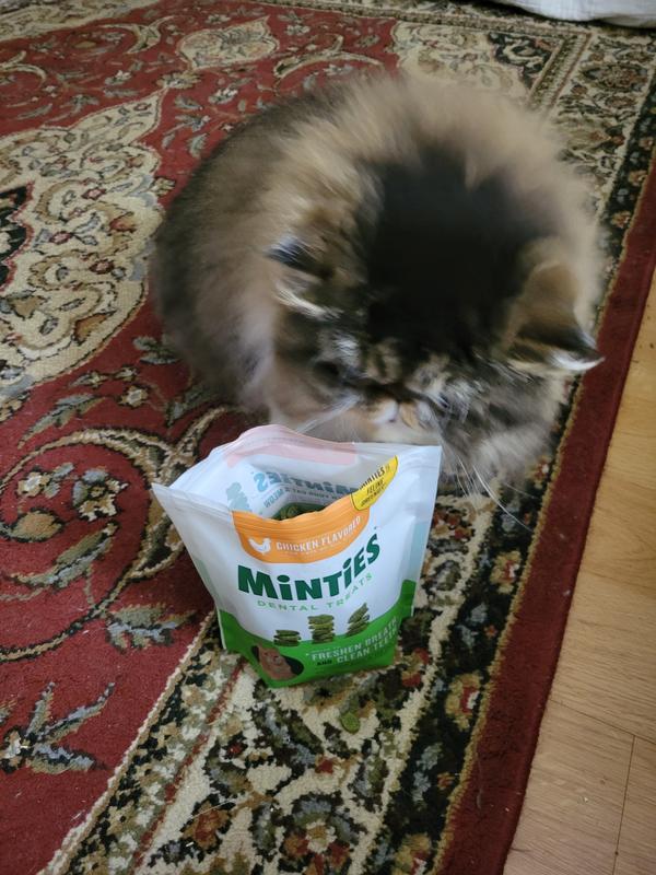 More please!