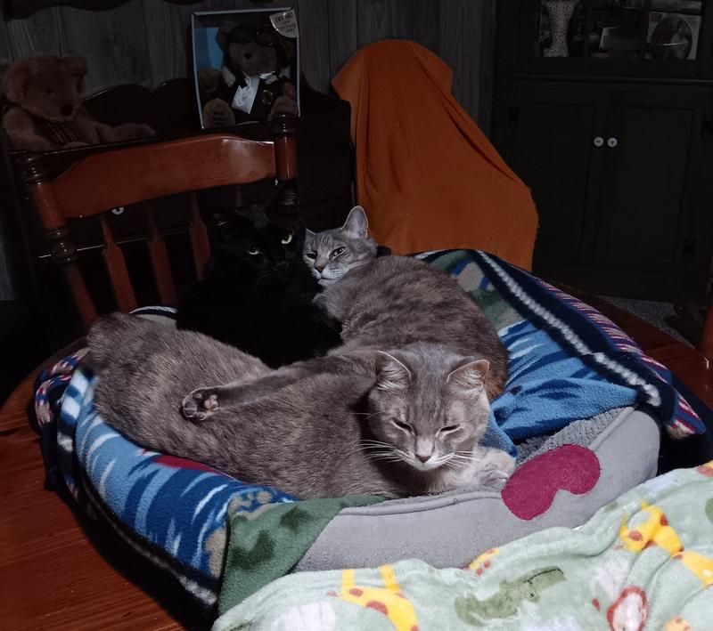 Meadow in the front says, "Thank you!"