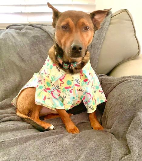 Aloha Friday frens!