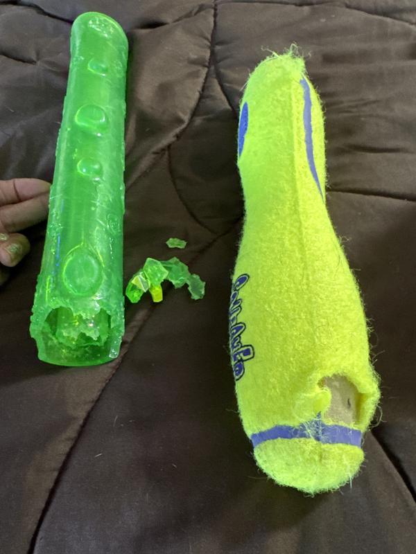 Both are Kong toys. NEVER AGAIN