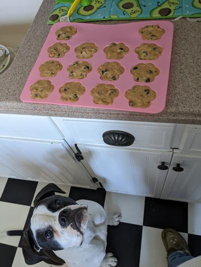 How to Use Silicone Pans for Baking – Pawsome Doggie