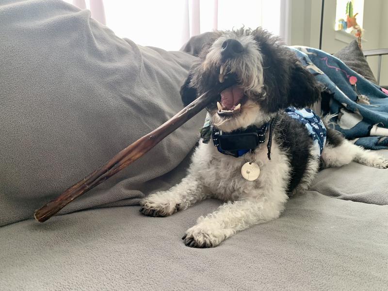 Oh yes, perfect spot!!! Yum!